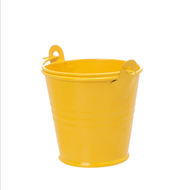 Classic Spot Tinplate bucket Flower Pot Indoor Planter Wholesale Gift Decor Craft Logo Style  VASE Floor Plant Small Kits
